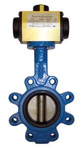 Butterfly Valve